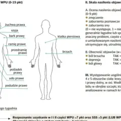Schemat pokazuje, gdzie fibromialgia boli: żuchwa, szyja, bark, górna i dolna część pleców, ramię, przedramię, klatka piersiowa, brzuch, pośladek, udo, podudzie.