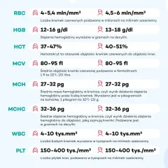 Tabela z normami badań krwi: RBC, HGB, HCT, MCV, MCH, MCHC, WBC, PLT. Dobre wyniki krwi a osłabienie mogą być związane z różnymi czynnikami.