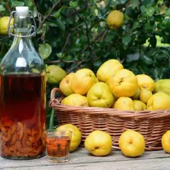 Przepis na wino bez cukru: naturalny sposób na domowy trunek