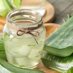 Sok z aloesu w słoiku, otoczony świeżymi liśćmi aloesu. Naturalny sposób na wzmocnienie odporności.