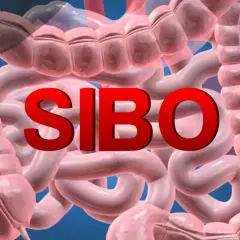 SIBO: przerost flory bakteryjnej i jego skutki dla zdrowia.