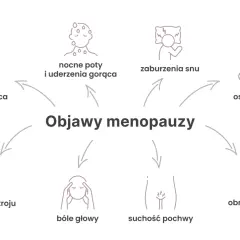 Grafika przedstawia objawy menopauzy, takie jak kołatanie serca, nocne poty, zaburzenia snu, osteoporoza, zmienność nastroju, bóle głowy, suchość pochwy i obniżone libido. Okres przedmenopauzalny objawy mogą być zwiastunem tych zmian.