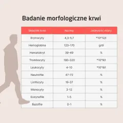 Tabela z badaniem morfologicznym krwi: co to jest? Pokazuje normy dla erytrocytów, hemoglobiny, hematokrytu, trombocytów, leukocytów i ich podtypów.