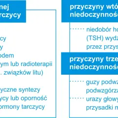 Niedoczynność tarczycy przyczyny: Co może prowadzić do problemów?