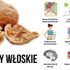 Orzechy włoskie są zdrowsze niż myślisz: 7 kluczowych korzyści dla zdrowia