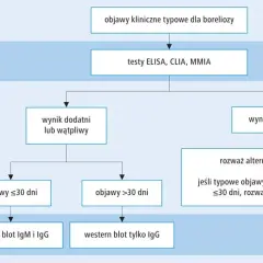 Metoda CLIA: jak działa i dlaczego jest tak ważna w diagnostyce?