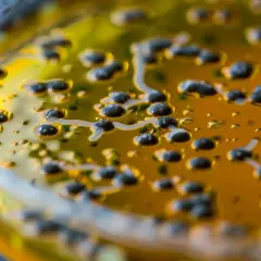 Clostridium - co warto wiedzieć o groźnej bakterii?