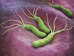 Helicobacter pylori - badania krwi i testy diagnostyczne