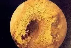 Candida parapsilosis w uchu - objawy zakażenia grzybiczego