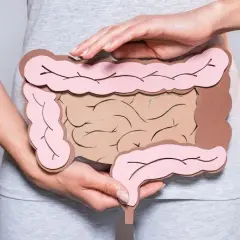 Ile długości ma jelito grube? Zaskakujące fakty o jego funkcji