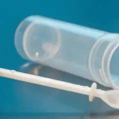 Badanie na pasożyty: Oto TOP 5 kluczowych testów. Które wybrać?