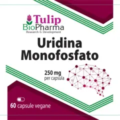 Urydyna monofosforan: 250 mg w kapsułce. Suplement diety Tulip BioPharma.