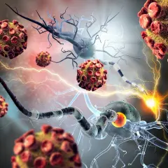 Choroby autoimmunologiczne - jakie badania krwi wykonać?