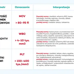 Tabela interpretuje wyniki badań krwi: MCV, WBC (leukocyty) i PLT (płytki krwi). Wyjaśnia, co oznaczają podwyższone lub obniżone wartości, np. niedobory witamin czy infekcje.