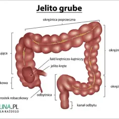 Jak boli jelito grube? Poznaj przyczyny i objawy bólu jelit