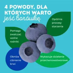 Zdrowotne właściwości borówek - poznaj 7 korzyści dla Twojego organizmu