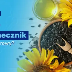 Czy słonecznik jest zdrowy? 7 niezwykłych właściwości pestek słonecznika