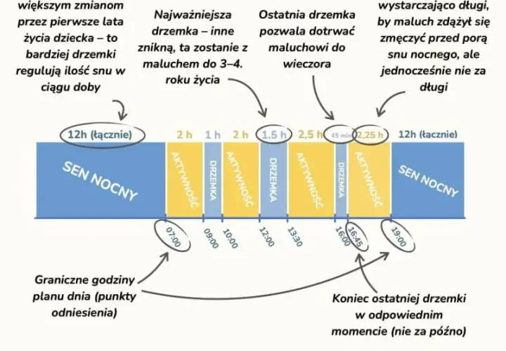 Idealny plan dnia 7 miesięcznego dziecka: kompletny schemat dla rodziców