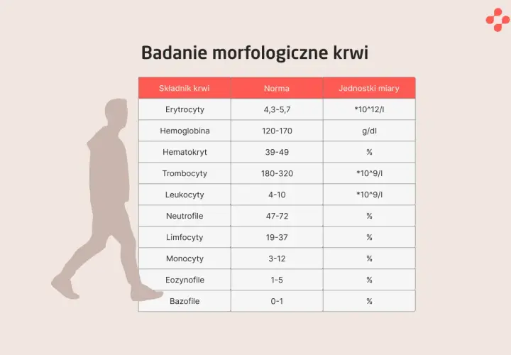 Tabela z badaniem morfologicznym krwi: co to jest? Pokazuje normy dla erytrocytów, hemoglobiny, hematokrytu, trombocytów, leukocytów i ich podtypów.