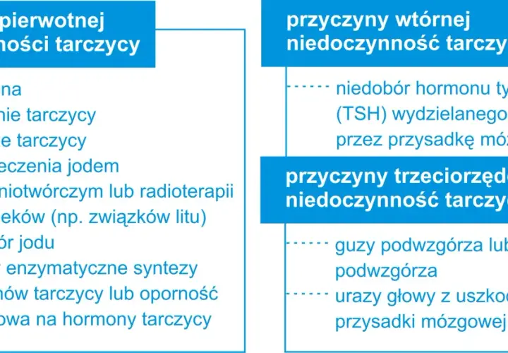 Niedoczynność tarczycy przyczyny: Co może prowadzić do problemów?