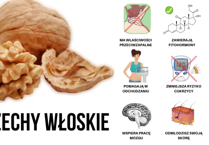 Orzechy włoskie są zdrowsze niż myślisz: 7 kluczowych korzyści dla zdrowia
