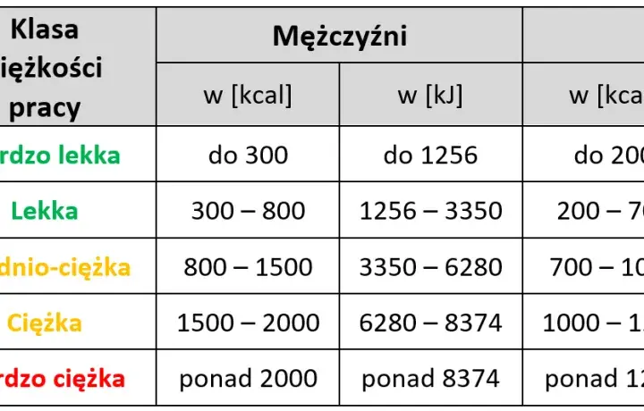 Jak obliczyć wydatek energetyczny i skutecznie kontrolować wagę ciała