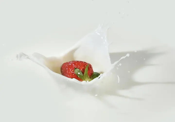 Jak powstaje jogurt, kefir i śmietana? Kulisy pracy producenta nabiału od kuchni