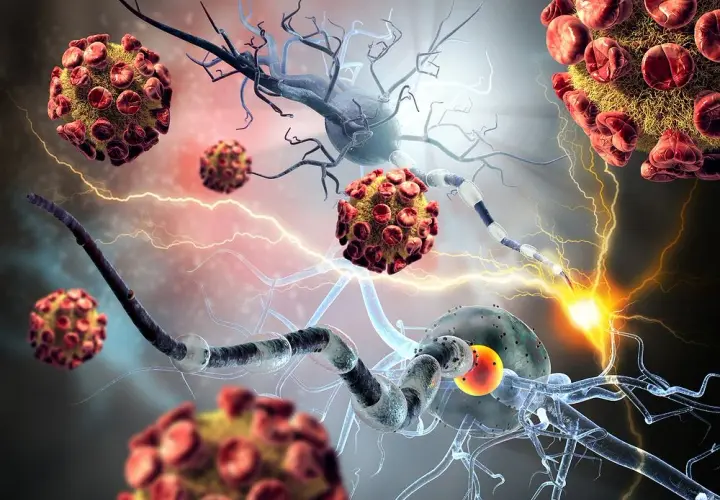 Choroby autoimmunologiczne - jakie badania krwi wykonać?