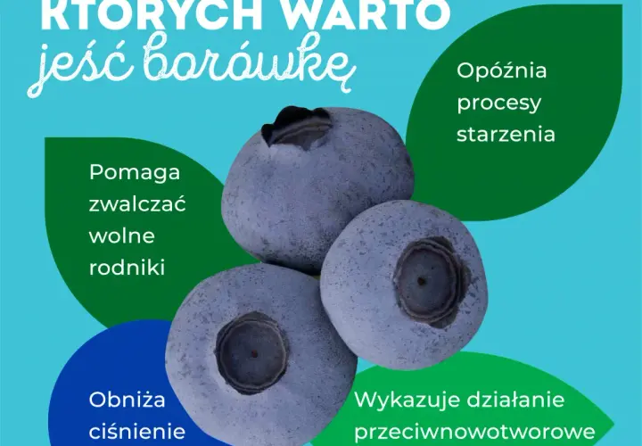 Zdrowotne właściwości borówek - poznaj 7 korzyści dla Twojego organizmu