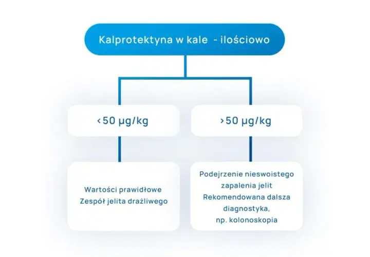 Co oznacza podwyższona kalprotektyna i jakie są jej możliwe przyczyny