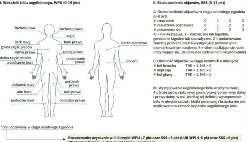 Schemat pokazuje, gdzie fibromialgia boli: żuchwa, szyja, bark, górna i dolna część pleców, ramię, przedramię, klatka piersiowa, brzuch, pośladek, udo, podudzie.