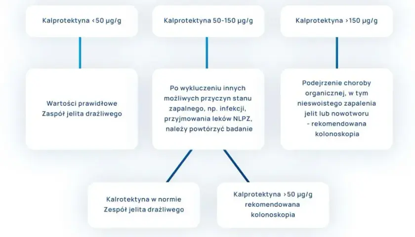 Wysoka kalprotektyna w kale: Co to oznacza dla twojego zdrowia?