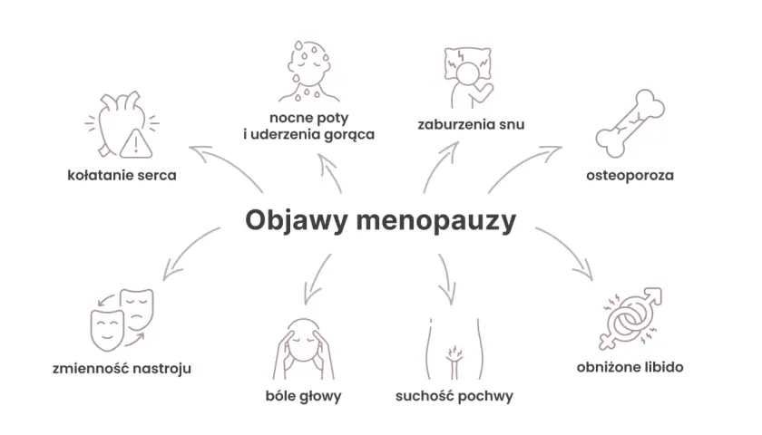 Grafika przedstawia objawy menopauzy, takie jak kołatanie serca, nocne poty, zaburzenia snu, osteoporoza, zmienność nastroju, bóle głowy, suchość pochwy i obniżone libido. Okres przedmenopauzalny objawy mogą być zwiastunem tych zmian.