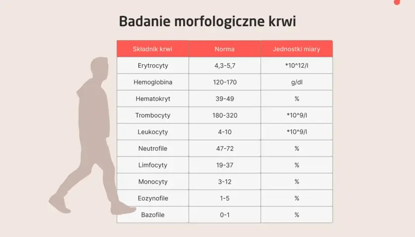 Tabela z badaniem morfologicznym krwi: co to jest? Pokazuje normy dla erytrocytów, hemoglobiny, hematokrytu, trombocytów, leukocytów i ich podtypów.