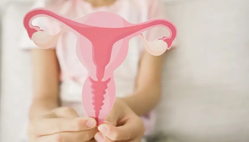 Dłoń trzyma wycięty z papieru model narządów rodnych. Czy cytologia boli? To badanie jest ważne dla zdrowia.