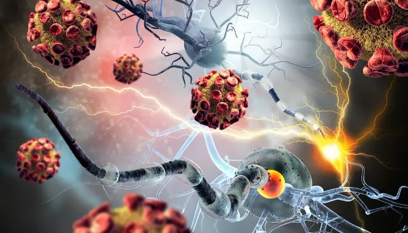 Choroby autoimmunologiczne - jakie badania krwi wykonać?
