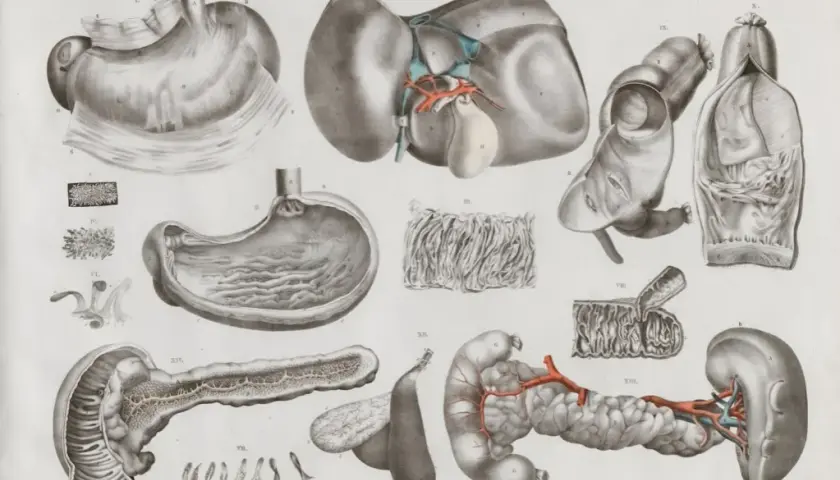 Prostata i urolog: Kiedy zacząć dbać? Objawy, badania, porady