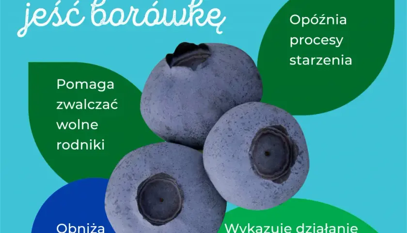 Zdrowotne właściwości borówek - poznaj 7 korzyści dla Twojego organizmu