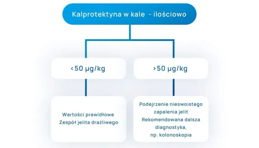 Co oznacza podwyższona kalprotektyna i jakie są jej możliwe przyczyny