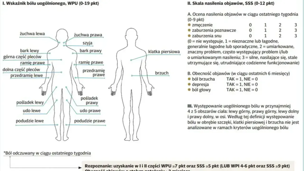 Schemat pokazuje, gdzie fibromialgia boli: żuchwa, szyja, bark, górna i dolna część pleców, ramię, przedramię, klatka piersiowa, brzuch, pośladek, udo, podudzie.