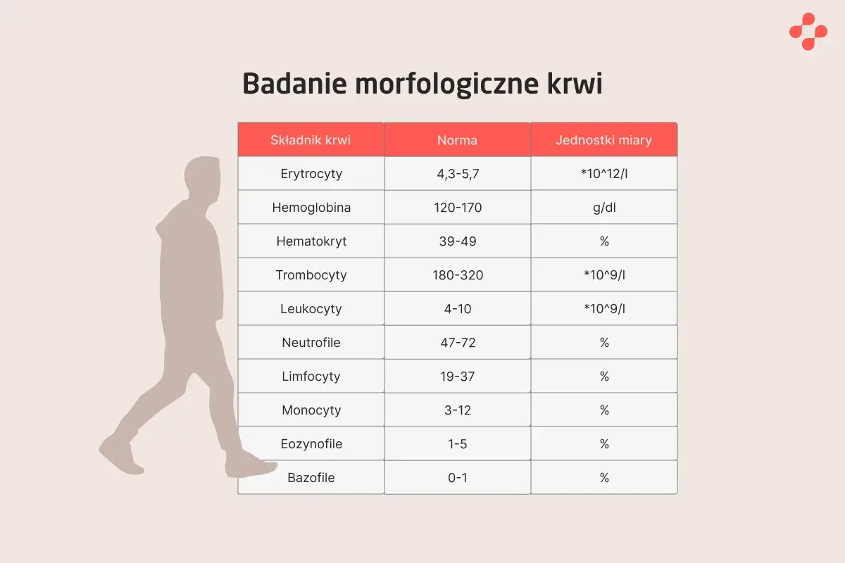 Tabela z badaniem morfologicznym krwi: co to jest? Pokazuje normy dla erytrocytów, hemoglobiny, hematokrytu, trombocytów, leukocytów i ich podtypów.