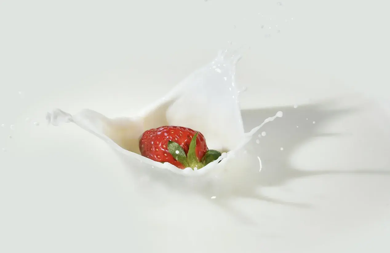 Jak powstaje jogurt, kefir i śmietana? Kulisy pracy producenta nabiału od kuchni