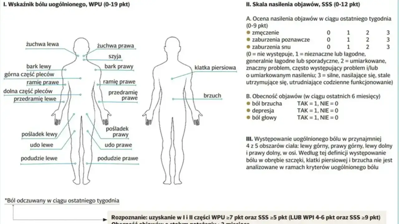 Schemat pokazuje, gdzie fibromialgia gdzie boli: żuchwa, szyja, bark, plecy, ramię, przedramię, pośladek, udo, podudzie, klatka piersiowa, brzuch.