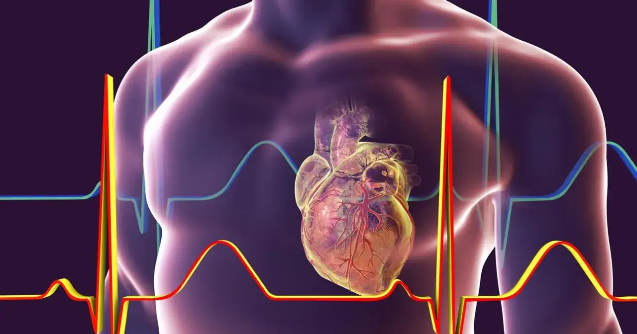 Anatomia serca na tle wykresów EKG, symbolizująca najczęstsze choroby serca.