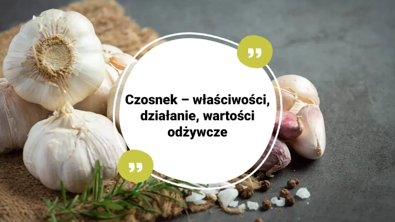 Zdjęcie Czosnek jest zdrowy: 7 korzyści i ukryte zagrożenia dla zdrowia