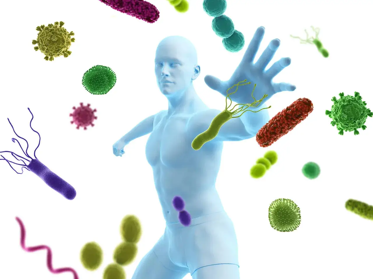 Ludzka postać broni się przed wirusami i bakteriami. To obrazuje, co to jest układ immunologiczny.