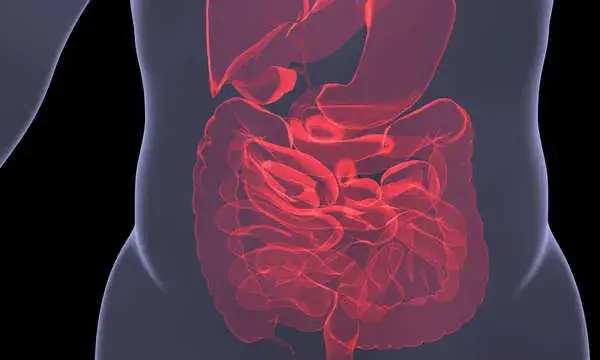 Zdjęcie Jak skutecznie zwalczyć Clostridium? Metody i opinie
